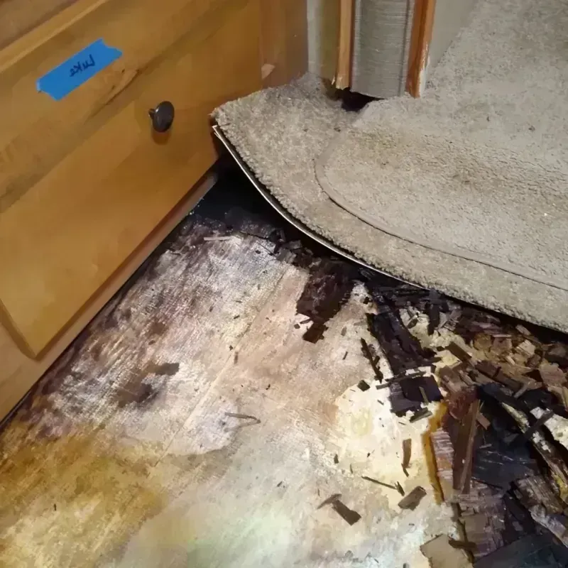 Wood Floor Water Damage in Homer, MI